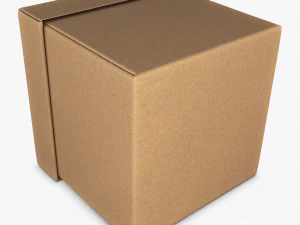 Package Cardboard Box M 2 3D Model
