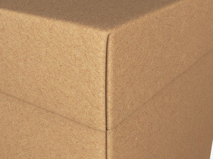 Package Cardboard Box M 2 3D 모델