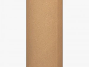 Package Cardboard Tube M 1 3D Model