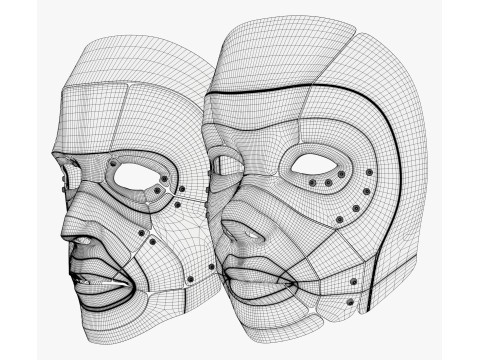 Cybernetic Male and Female Masks Modelo 3D