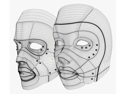 Cybernetic Male and Female Masks 3D Model