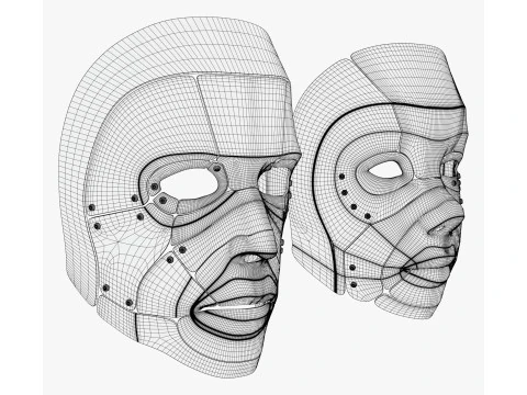 Cybernetic Male and Female Masks 3D Model