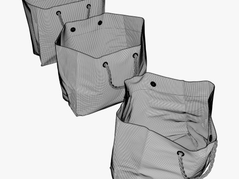 Eco Paper Shopping Bags Set M1 Modelo 3D