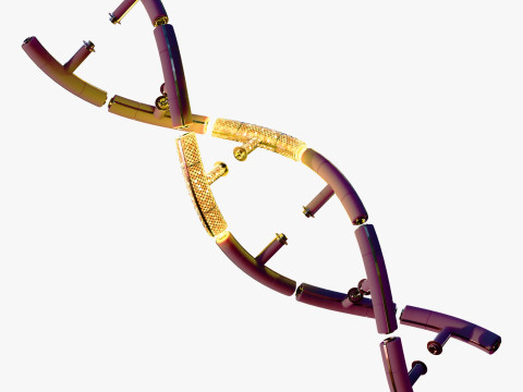 Techno-DNA-structuur M1 3D Model