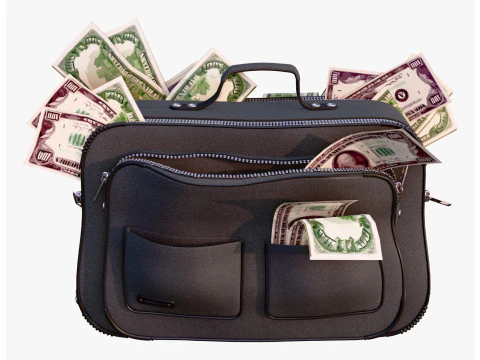 Money Bag with Cash M1 3D Model