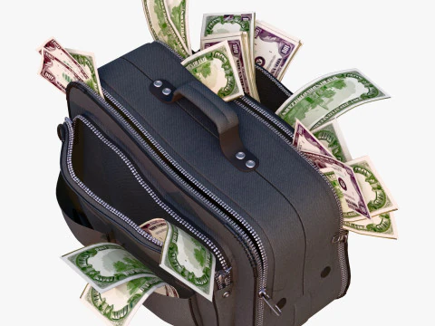 Money Bag with Cash M1 3D Model