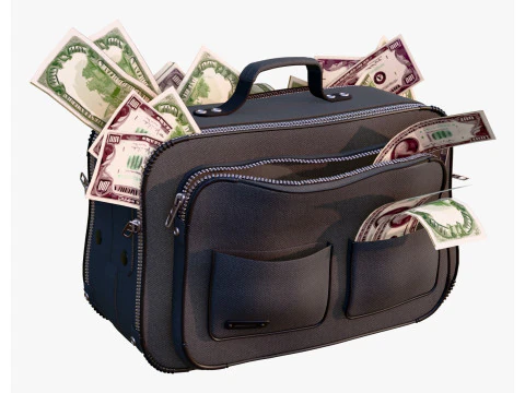 Money Bag with Cash M1 3D Model