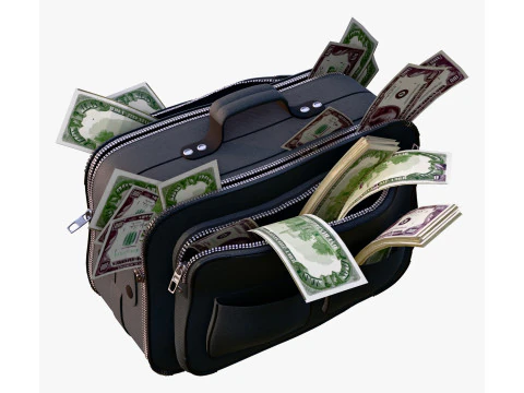 Money Bag with Cash M1 3D Model