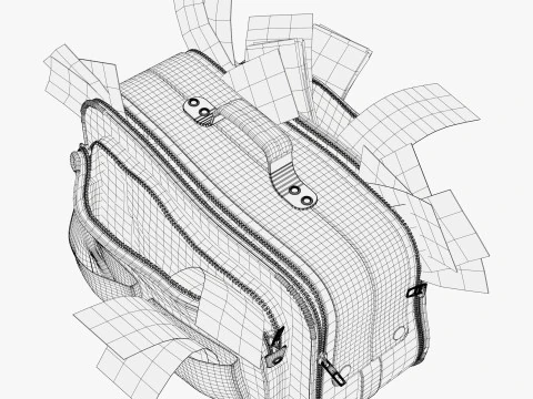 Money Bag with Cash M1 3D Model