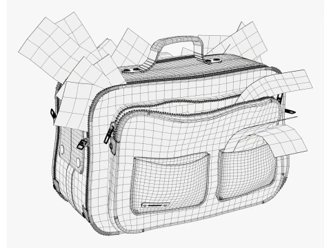 Money Bag with Cash M1 3D Model