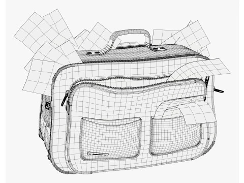 Money Bag with Cash M1 3D Model