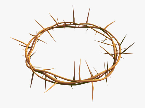 Crown of Thorns M1 3D Model