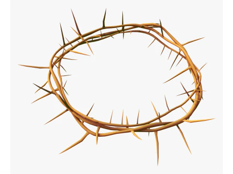 Crown of Thorns M1 3D Model