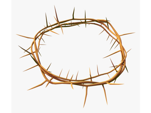 Corona di spine M1 Modello 3D