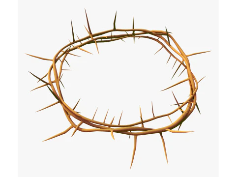 Crown of Thorns M1 3D Model