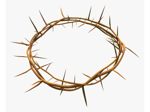 Corona di spine M1 Modello 3D