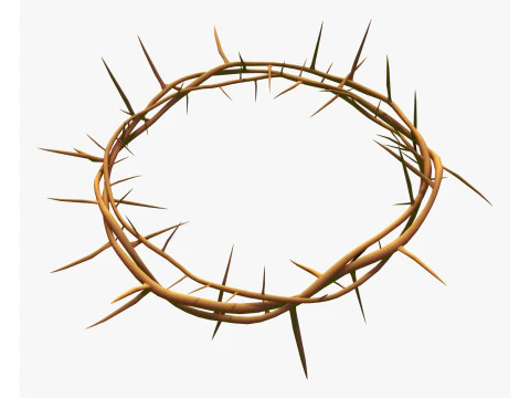 Crown of Thorns M1 3D Model