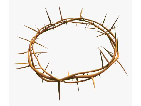 Corona di spine M1 Modello 3D