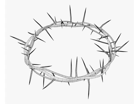 Crown of Thorns M1 3D Model
