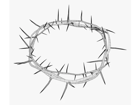 Crown of Thorns M1 3D Model