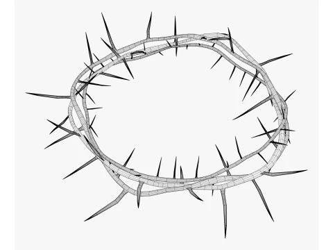 Crown of Thorns M1 3D Model
