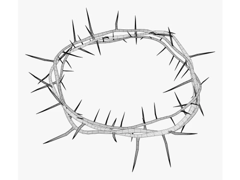 Crown of Thorns M1 3D Model
