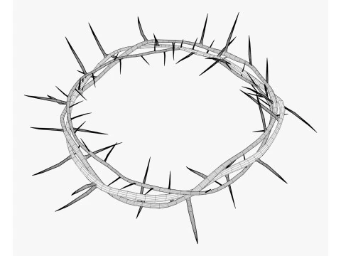 Crown of Thorns M1 3D Model