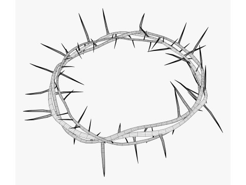 Corona di spine M1 Modello 3D