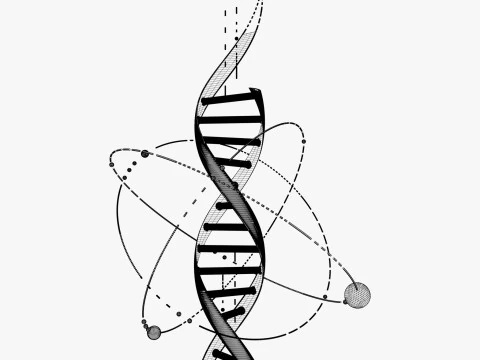Estructura del ADN Tecno M2 Modelo 3D