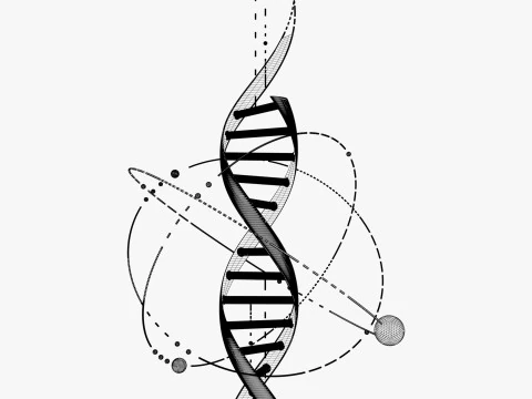 Estructura del ADN Tecno M2 Modelo 3D