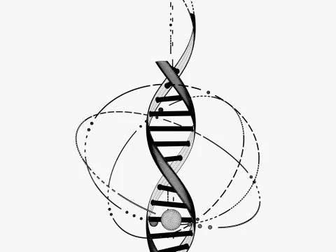 Estructura del ADN Tecno M2 Modelo 3D