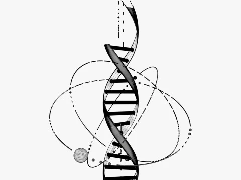 Estructura del ADN Tecno M2 Modelo 3D