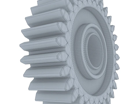 Gear Spur D121mm T38mm M1 3D Model