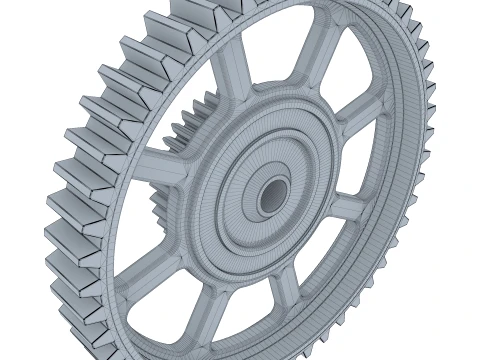 Gear Spur D524mm T119mm M1 3D Model