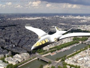 privat walking plane 3D Model