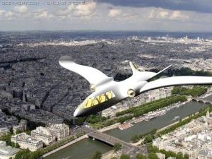privat walking plane 3D Model