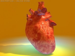 heart 3D 模型