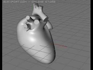 heart 3D 模型