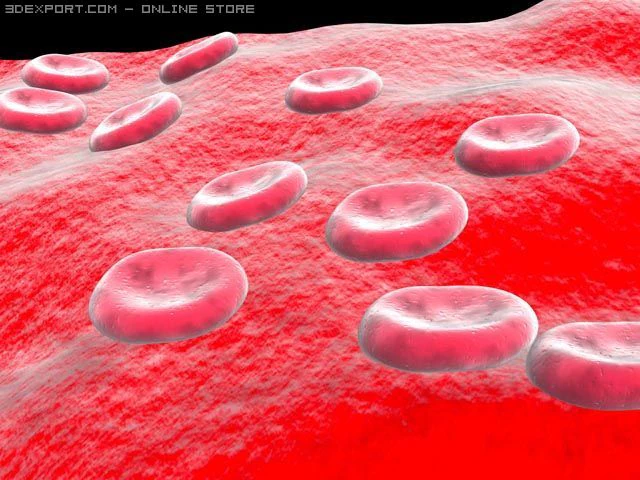 blood sells 3D Model .c4d .max .obj .3ds .fbx .stl .blend 