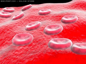 blood sells 3D Model