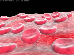 blood sells 3D Model