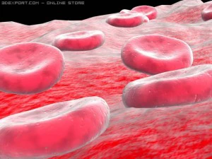 blood sells 3D Model