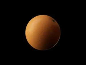 3d fruit sub surface 3D Model