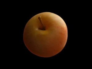 3d fruit sub surface 3D Model