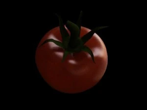 3d fruit sub surface 3D Model