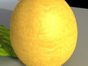 lemon 3D Model