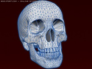skeleton 3D 模型