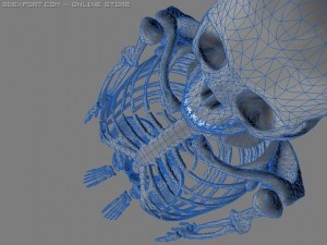 skeleton 3D 模型