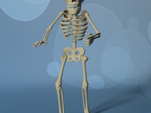 cartoon skeleton rigged 3D-Modell