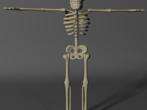 cartoon skeleton rigged 3D-Modell